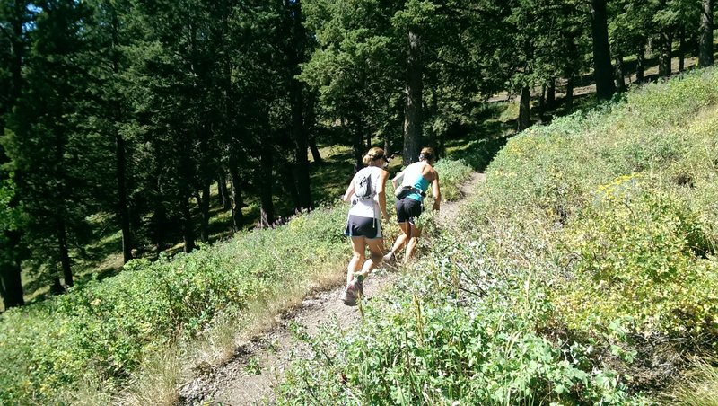 The Bald Mountain Trail is popular with trail runners