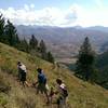 Switch backing up the Bald Mountain Trail