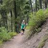 Enjoy the shade on the lower slopes of Bald Mountain