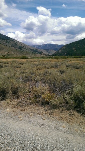 Enjoyable, mellow walking surface on the Harriman Trail