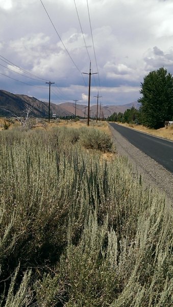 Newly paved (Summer 2014) section of path between Hailey and Bellevue