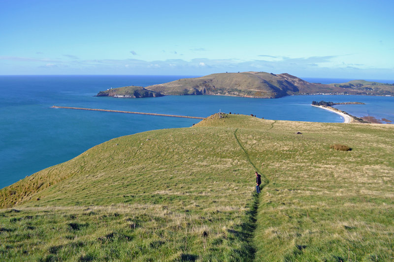 Looking down toward Aramoana and Taiaroa Head