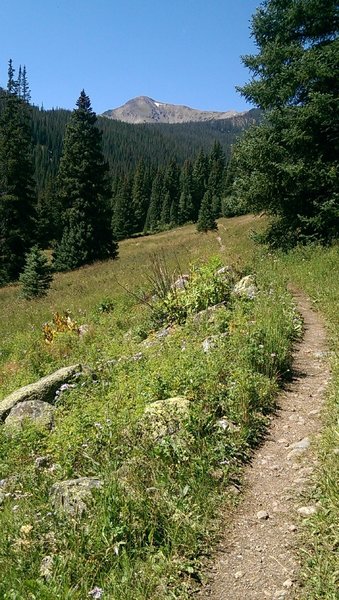 Views continue to improve towards the end of the trail