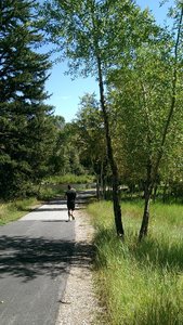 Very pleasant section of the Eagle Valley Path, along the Eagle River