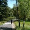 Very pleasant section of the Eagle Valley Path, along the Eagle River