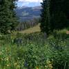 Abundant wildflowers complement views of the Gore Range