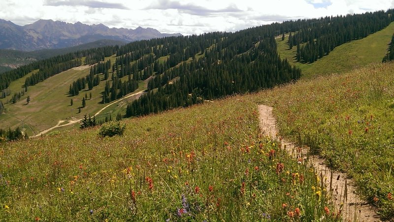 Views east over the ski area and the Gore Range beyond