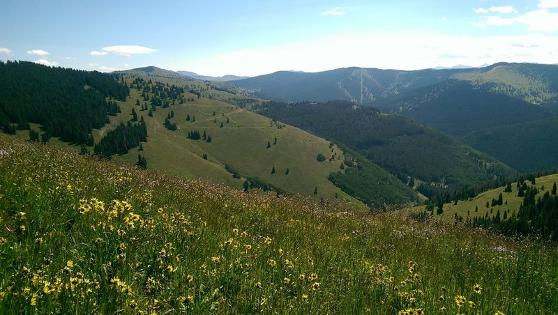 Vail's back bowls from Ptarmigan Point