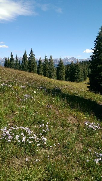 Gore Range in the distance