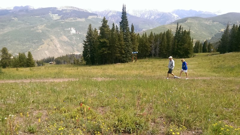 Gentle open slopes of Upper Fireweed