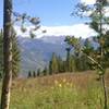 Gore Range providing the backdrop for Upper Fireweed hikers