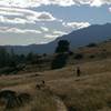 Hikers and dogs enjoy the Cairn Trail