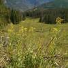 Gore Range views improve towards the top of Berry Picker