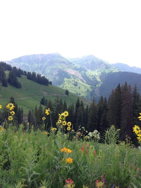 At the route's high point. Note the road descending gradually on the opposite hillside.