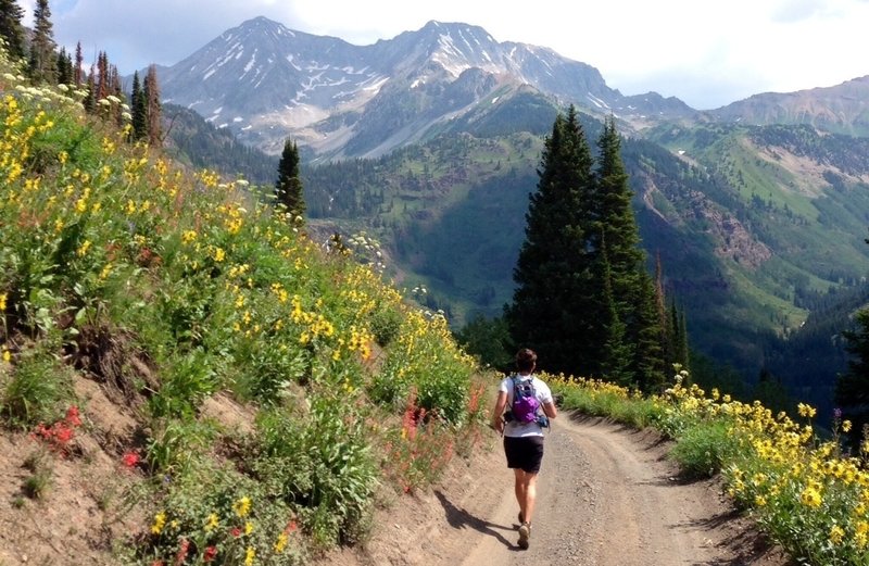 Michelle takes in views of Snowmass Mountain during the spectacular descent into the Lead King Basin.