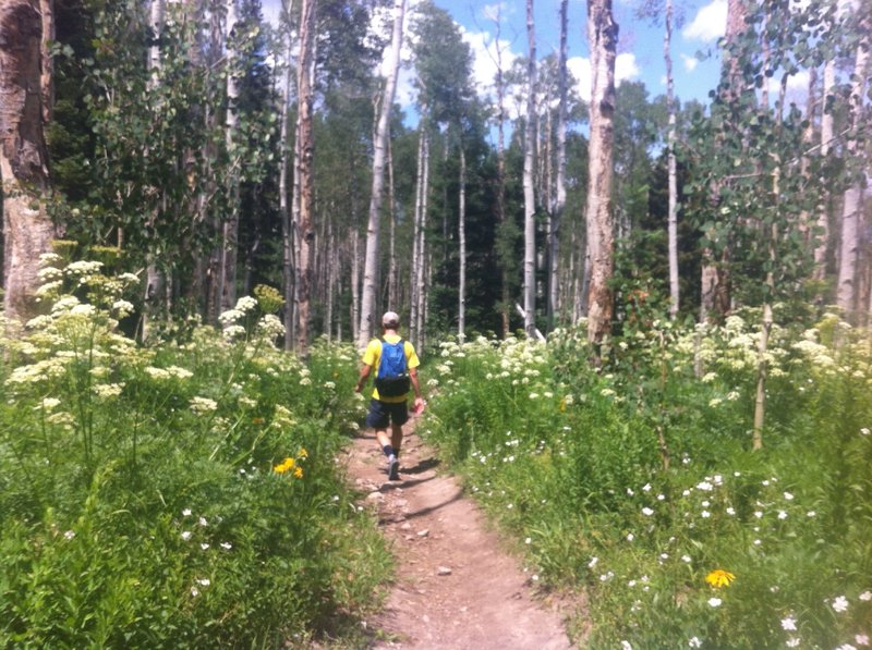 Heading back down Mount Sopris, surrounded by Aspen and wildflowers.