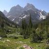 Grand Teton as seen from a meadow on North Fork Cascade Canyon trail.
<br>

<br>
Image by the National Park Service (NPS).