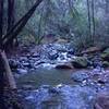 Nice bit of trail near Sonoma Creek