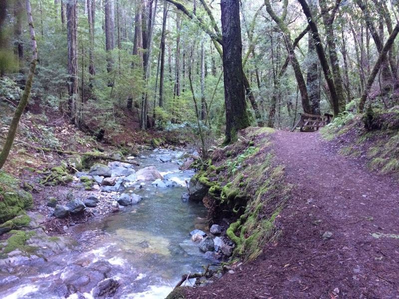 Trail along Sonoma Creek