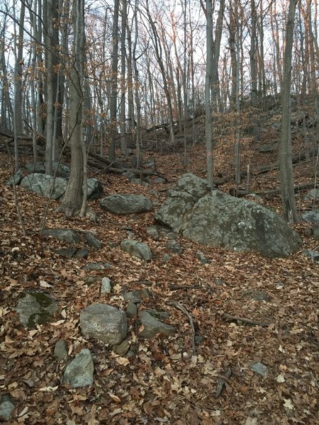 The steep start of Orange Access Trail - West.