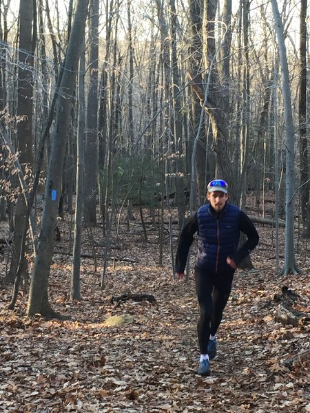 A runner on Blue Trail