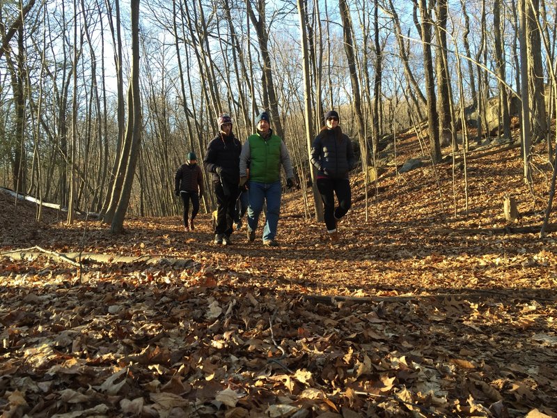 Good times on the Green Trail - Red Maple Swamp.