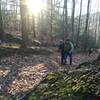 Awesome light on one of the easier ascents on Yellow Trail - Pine Mountain.