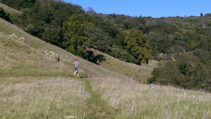 Trail contours around the hillside here for good running