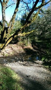 Crossing this wide part of Sonoma Creek can require rock-hopping or wading