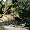 Crossing this wide part of Sonoma Creek can require rock-hopping or wading