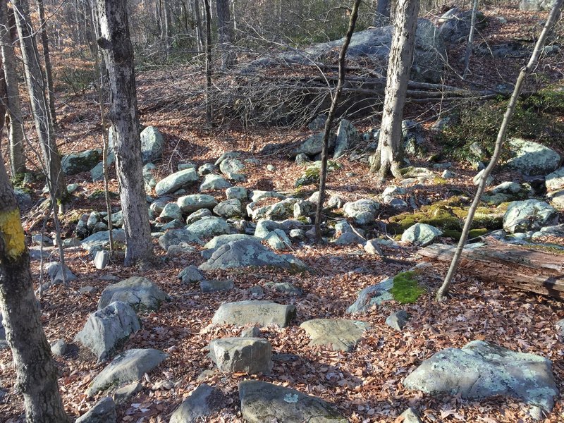 Classic East Coast Rocks - watch your feet!