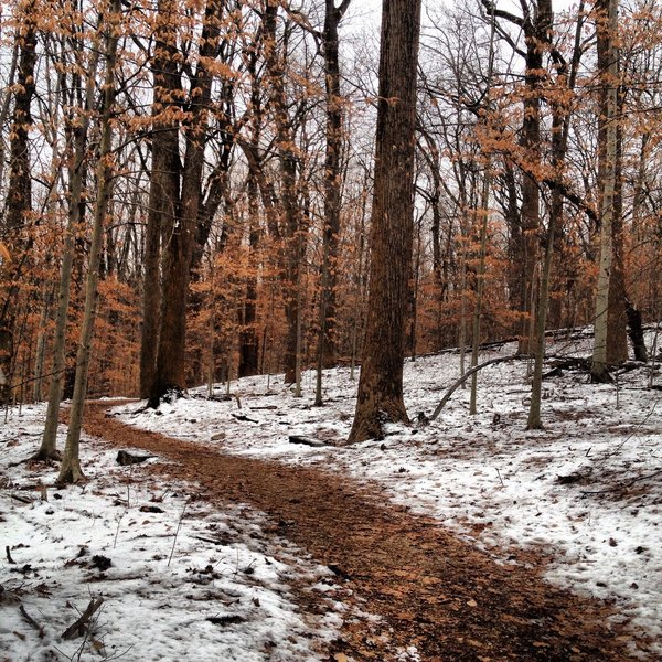 Western Ridge Trail