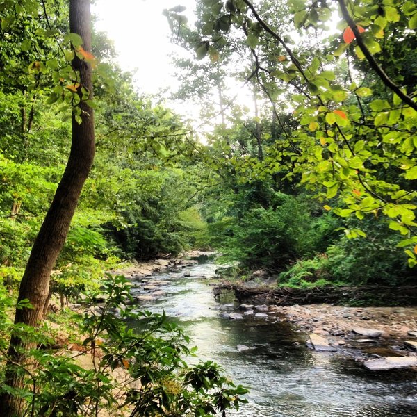 View of Rock Creek from the Valley Trail