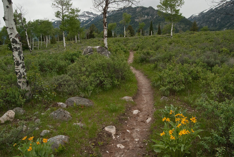 The Granite Canyon Trail with permission from Ralph Maughan