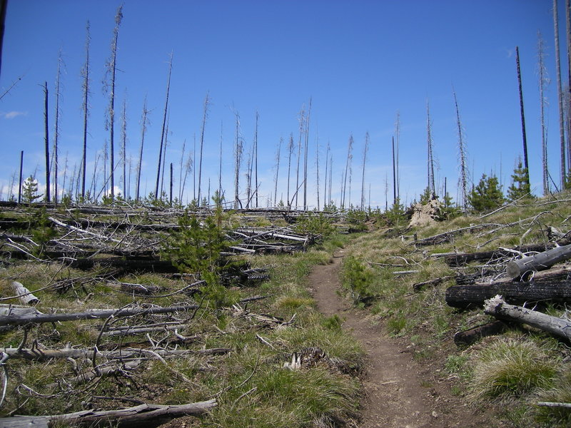 Glade Creek Trail with permission from jelledegruyter