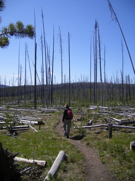 Glade Creek Trail with permission from jelledegruyter