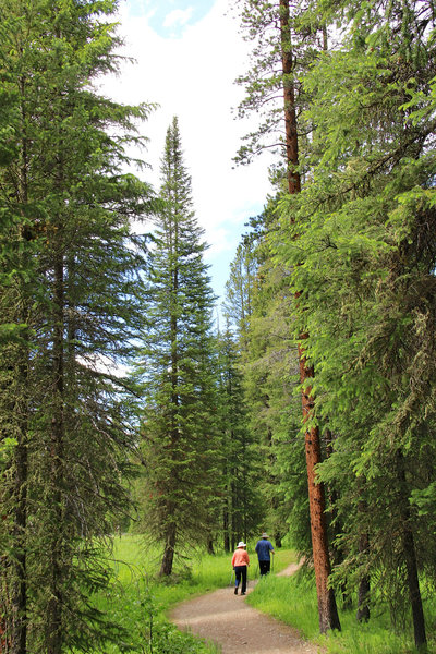 Colorado River Trail