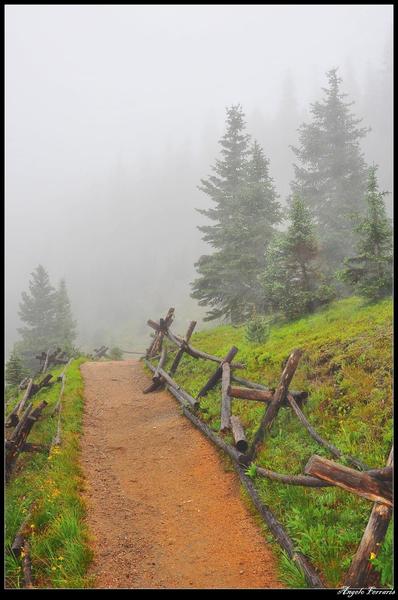 Timber Lake Trail