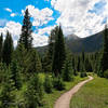 Rocky Mtn National Park with permission from Peter B. Pearman