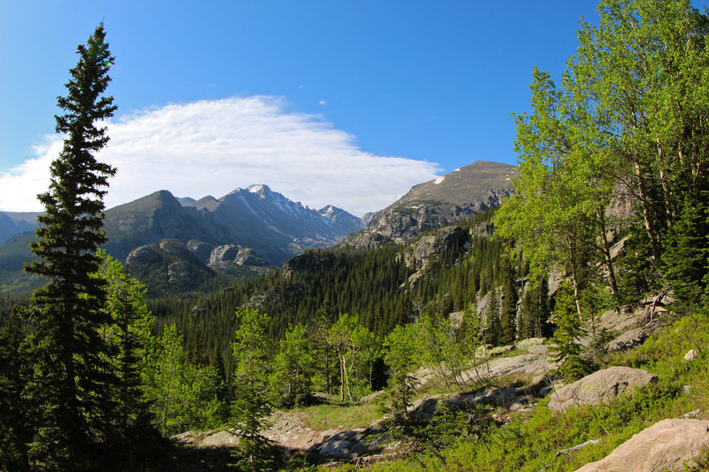 Long's Peak and aspens