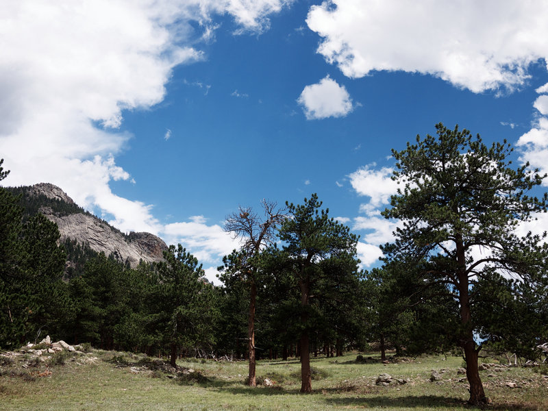 Beaver Meadows