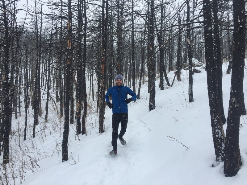 Running through the Flagstaff fire burn area.