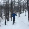 Running through the Flagstaff fire burn area.