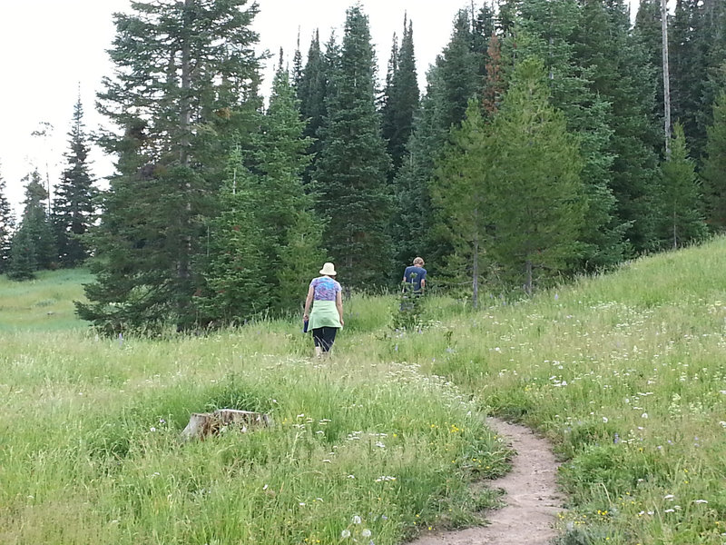 Hiking Mt. Werner.