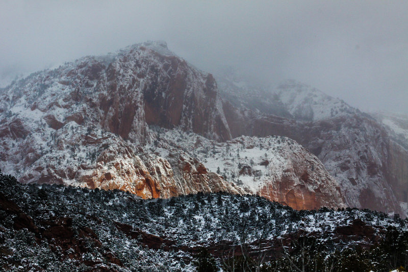 The canyons of Zion are beautiful year round.