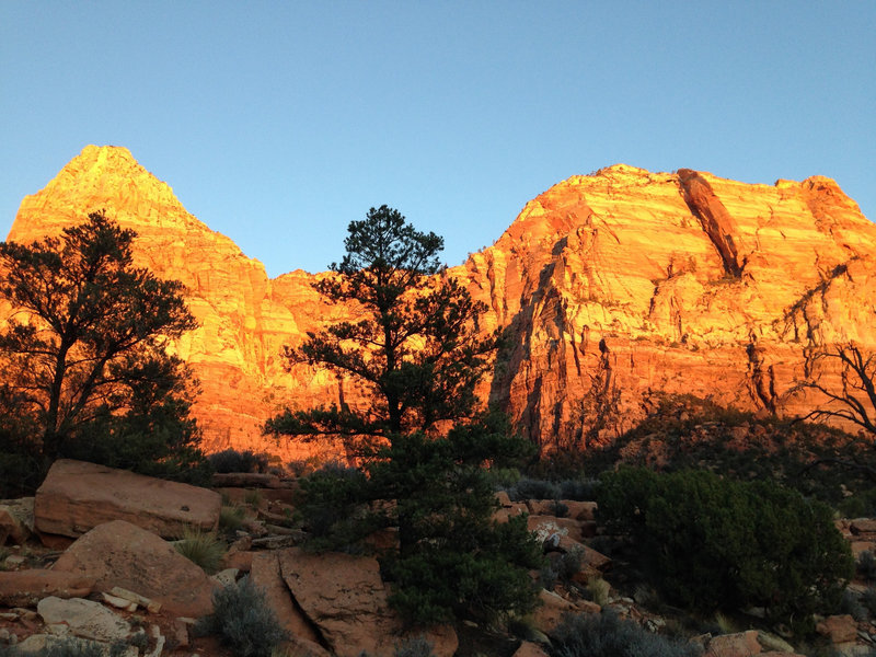 Alpenglow on Watchman Trail.