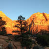 Alpenglow on Watchman Trail.