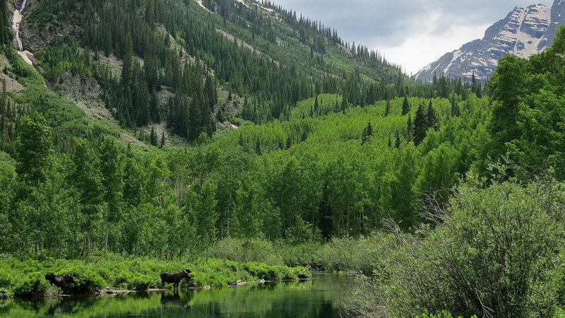 White River National Forest - Maroon Bells Scenic Area