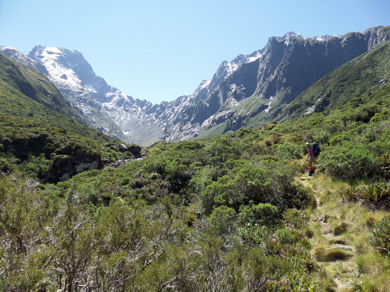 The Young Basin