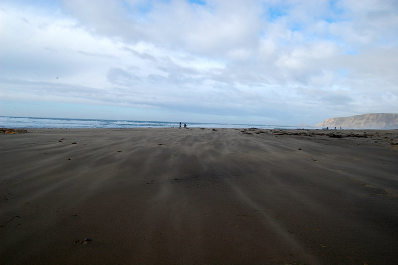 McClure's Beach- blowing sand